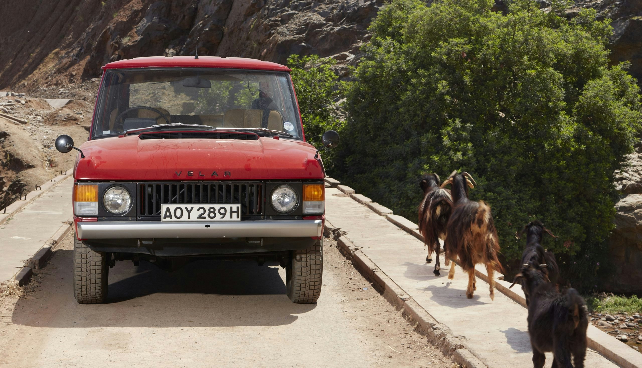 Skynd dig at købe en klassisk Range Rover | bilmagasinet.dk