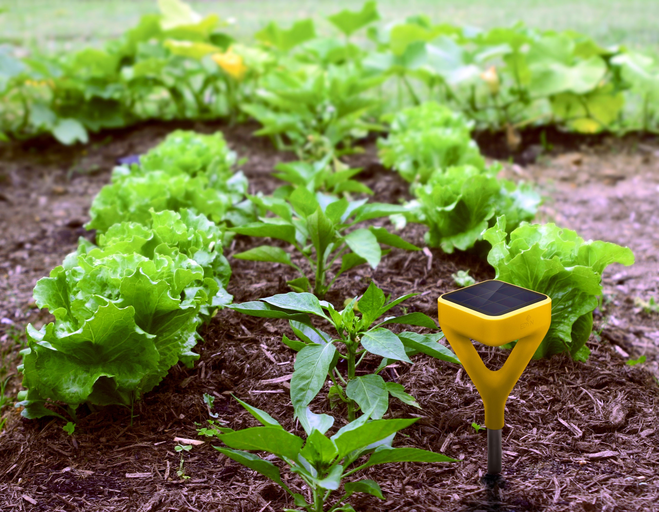 электронный огородник. сигареты рынок садовод. календарь посадки овощей. садовод руководство. полив капусты.