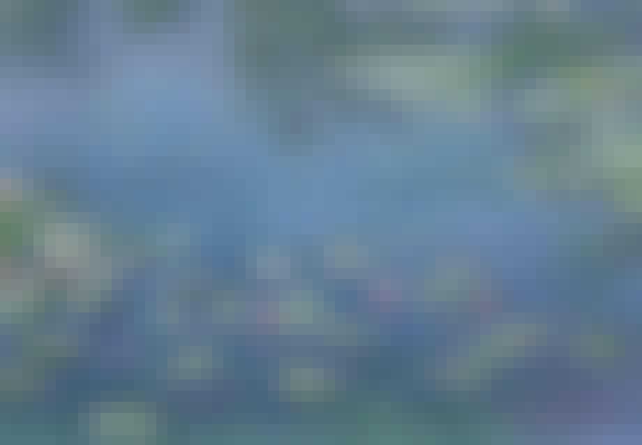 Billedstorm på Ordrupgaard Billedstorm på Ordrupgaard