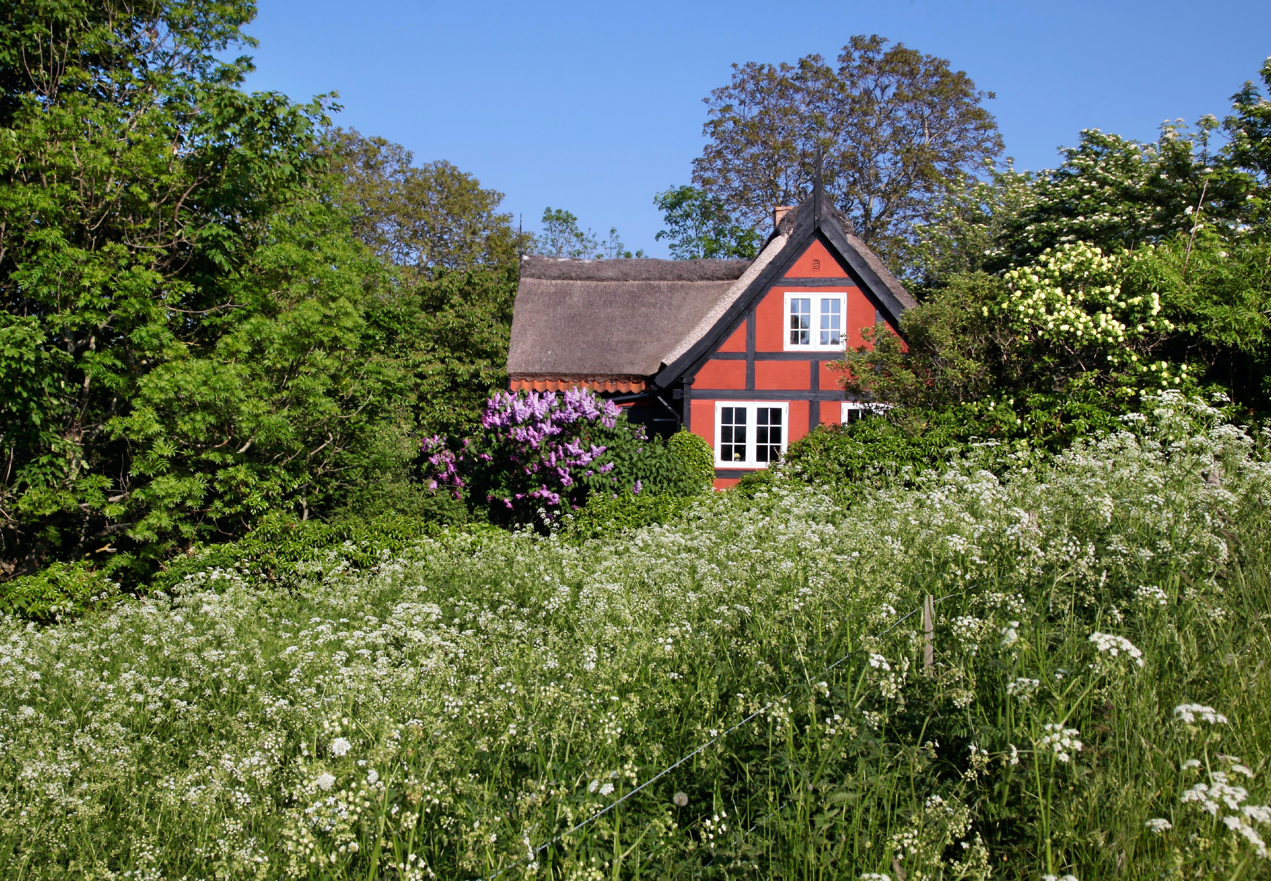 Gudhjem guide til gode oplevelser på borholmer øen bobedre.dk