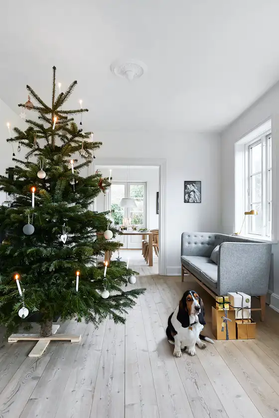 Download Strand dekorationer til hus For Free Strand Dekorationer Til Hus