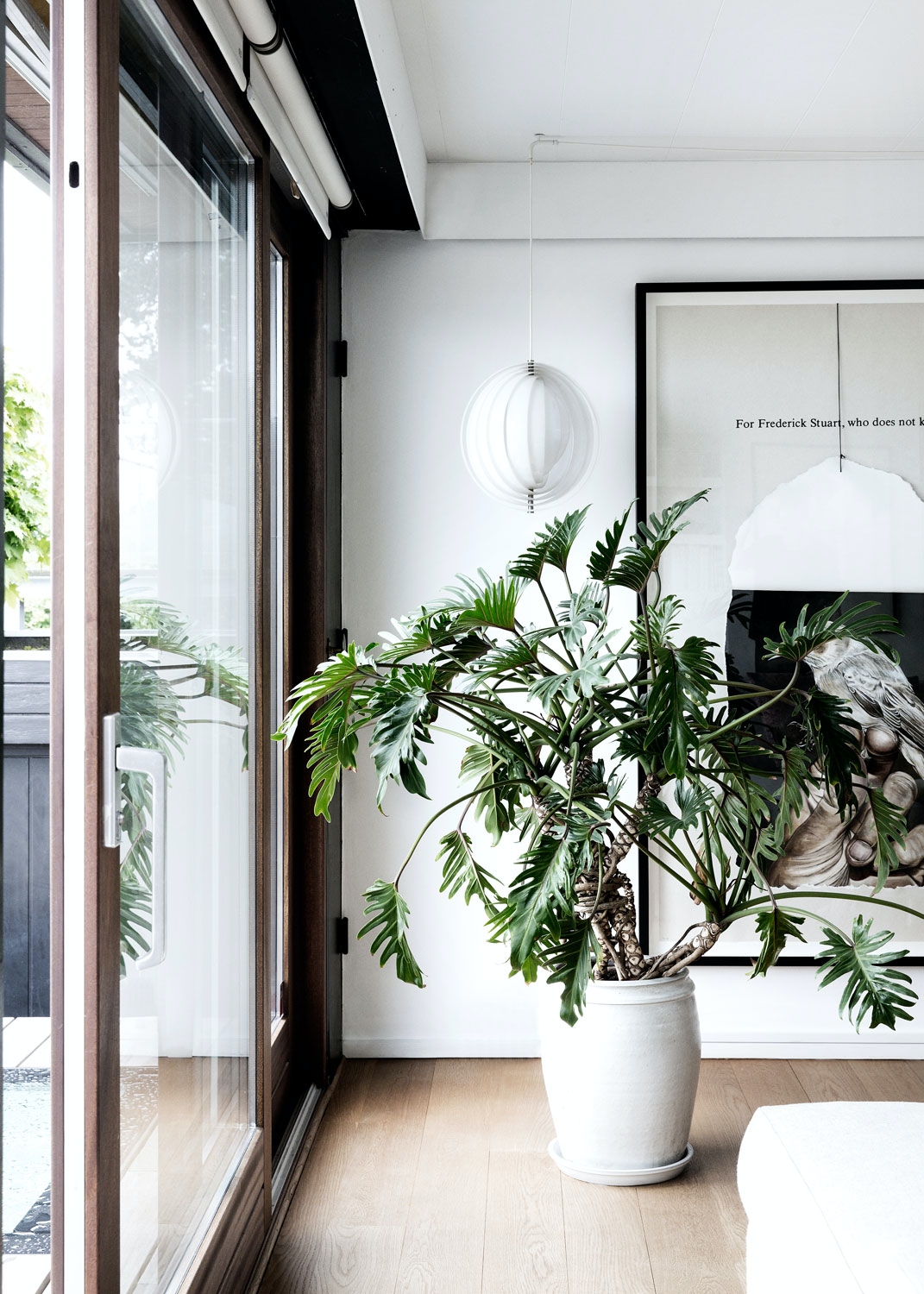 Trenden med grønne planter i interiøret fortsetter som aldri før. Grønne planter er ikke bare trendy, de er også lettstelte og bra for oss. Så la det bugne med planter som i en grønn oase.