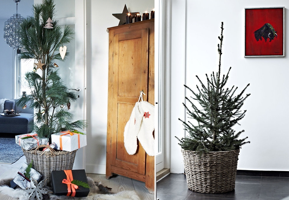 Juletre I Liten Leilighet