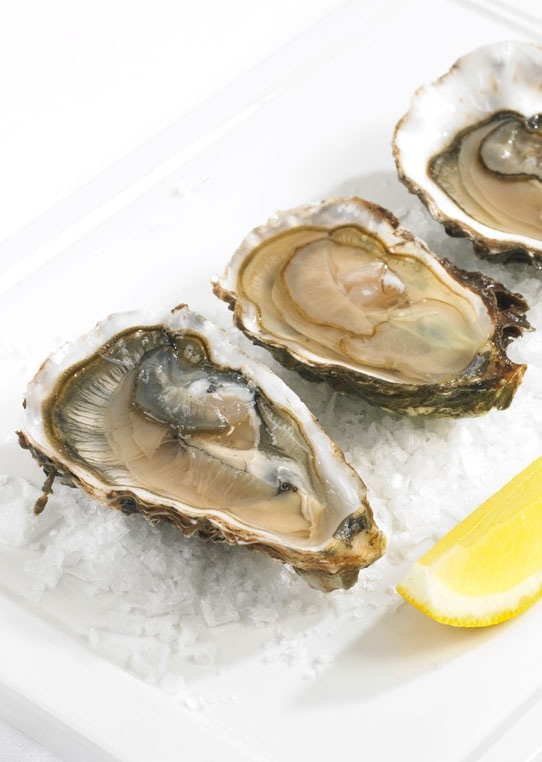 Opskrift Martini Fiero & tonic din nye sommerfavorit? Bobedre.no