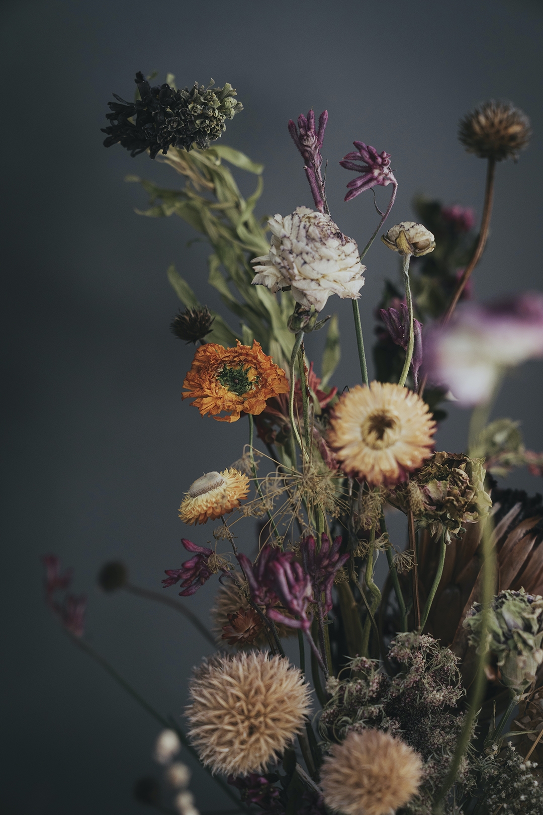 Slik bruker du tørkede blomster som dekor | Bo bedre.no Slik bruker du tørkede blomster som dekor | Bo bedre.no