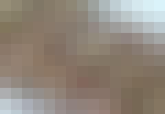 muslibiddermednodder-xf88bn21nl8scjpq6v7kcq-2shwsqejb_zvxgc7tqvmmq