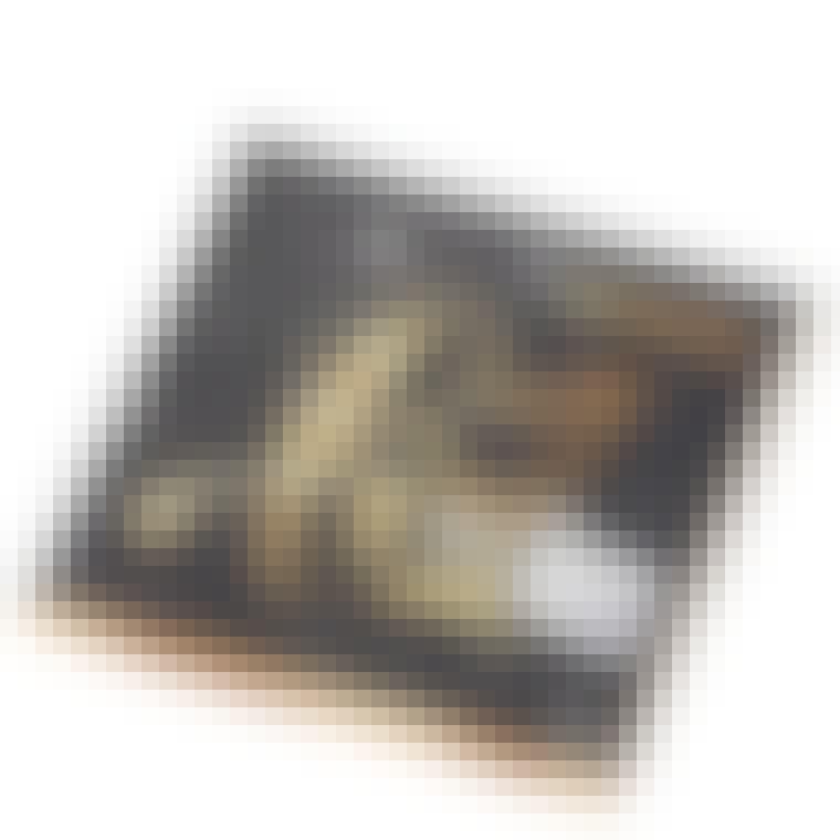 aca2e4e6-ce49-4693-90ea-df29cd2a162d_1