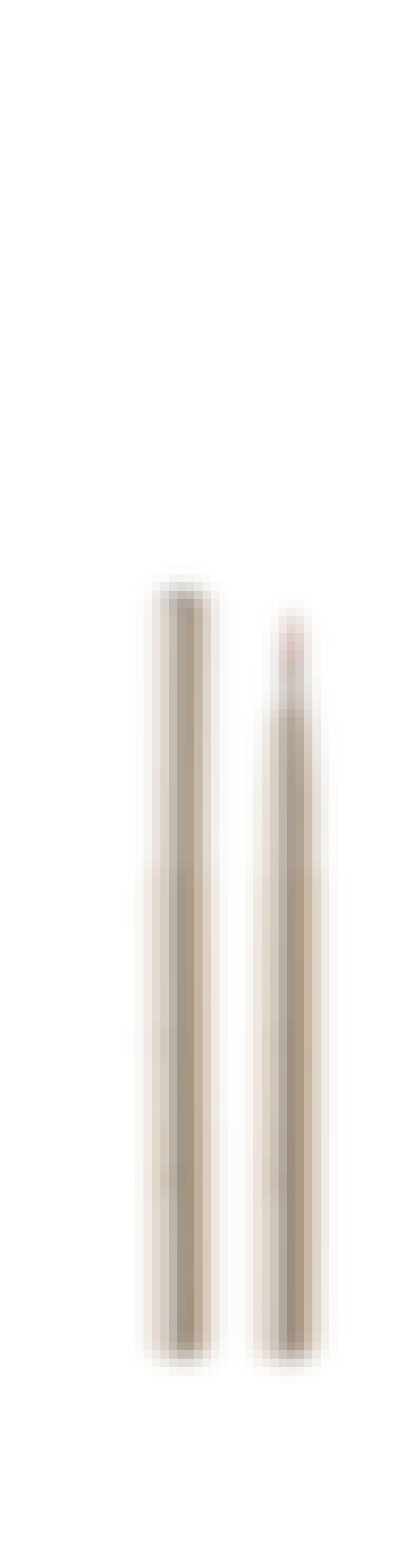 Læbepensel