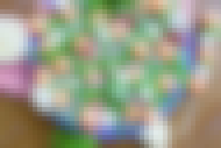 Ingredienser
