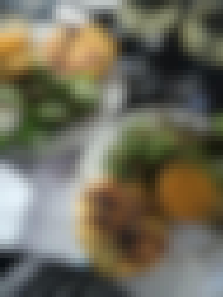 Frokost