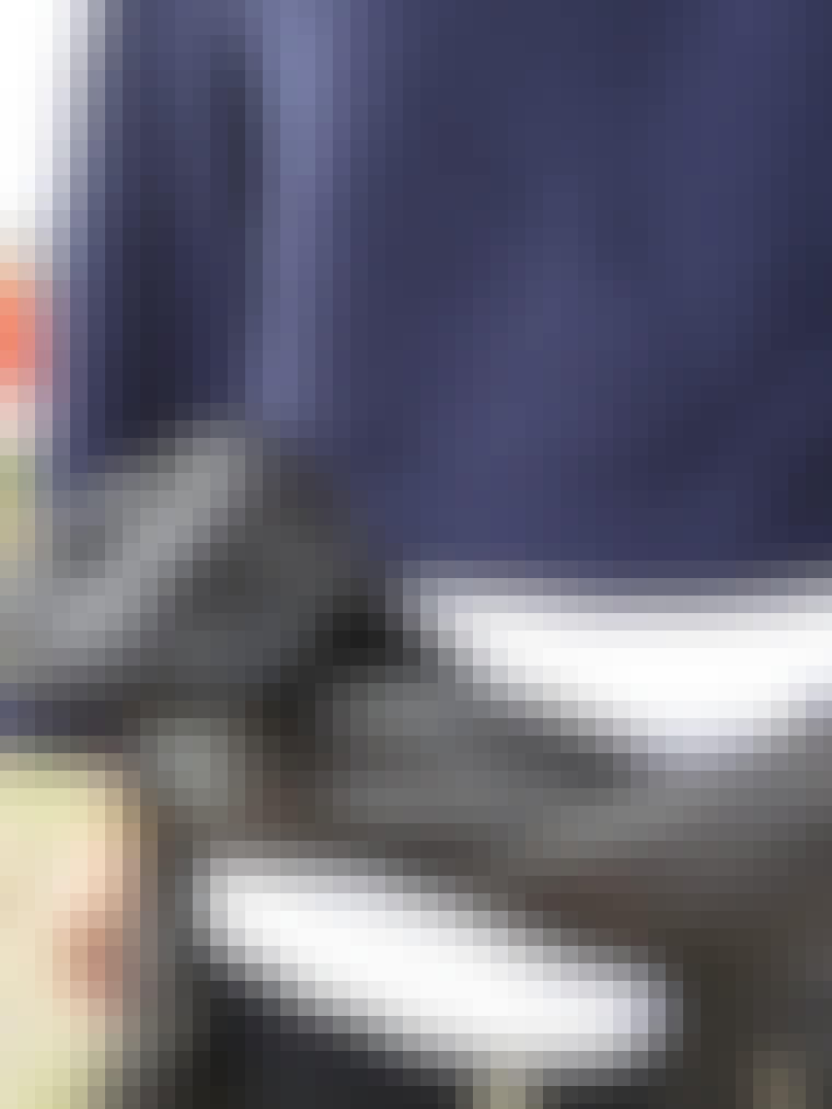 Dagens detalje