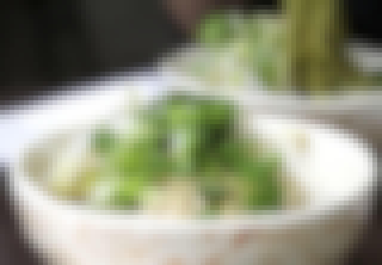 Ny diæt med pasta og brød