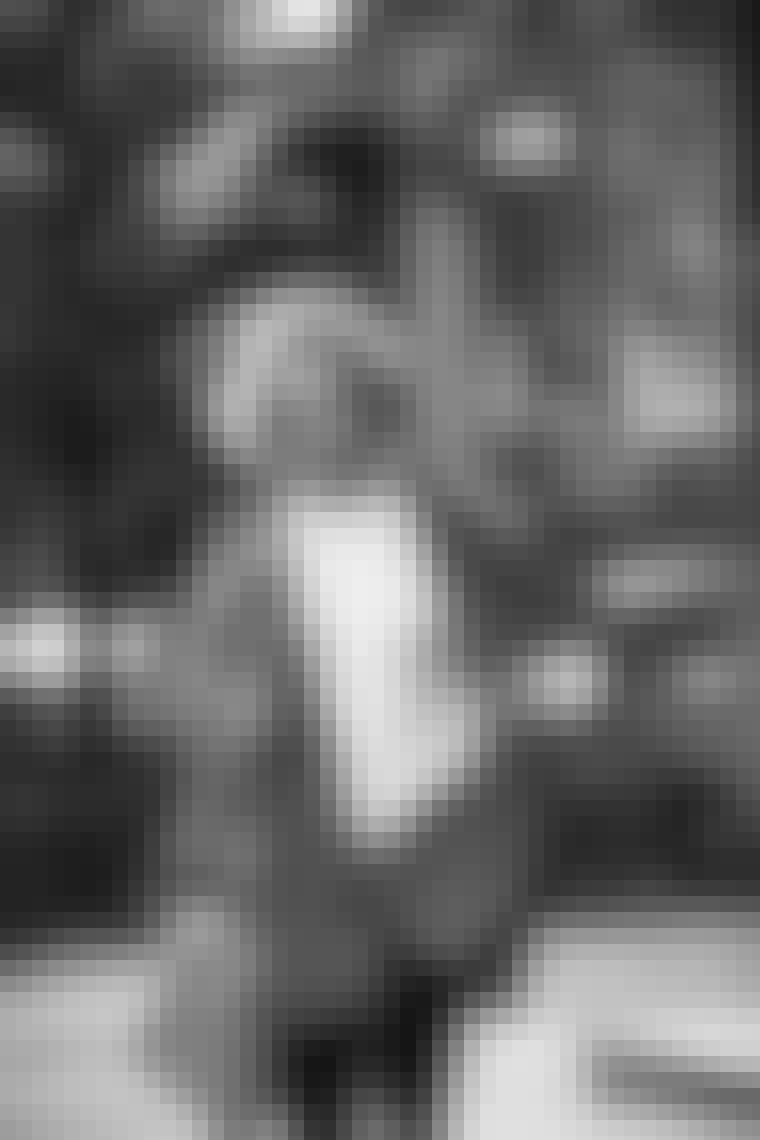 Sari_Costume_01_1488bw
