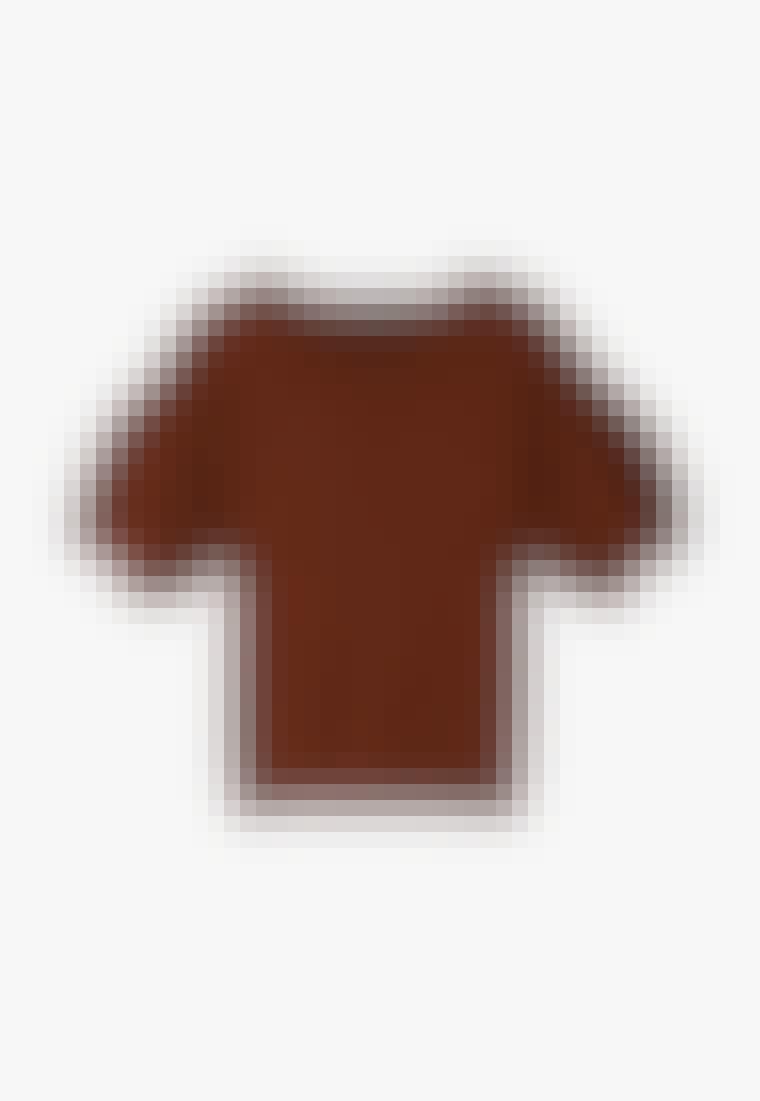 Brun topp med fine volumiøse ermer fra Massimo Dutti