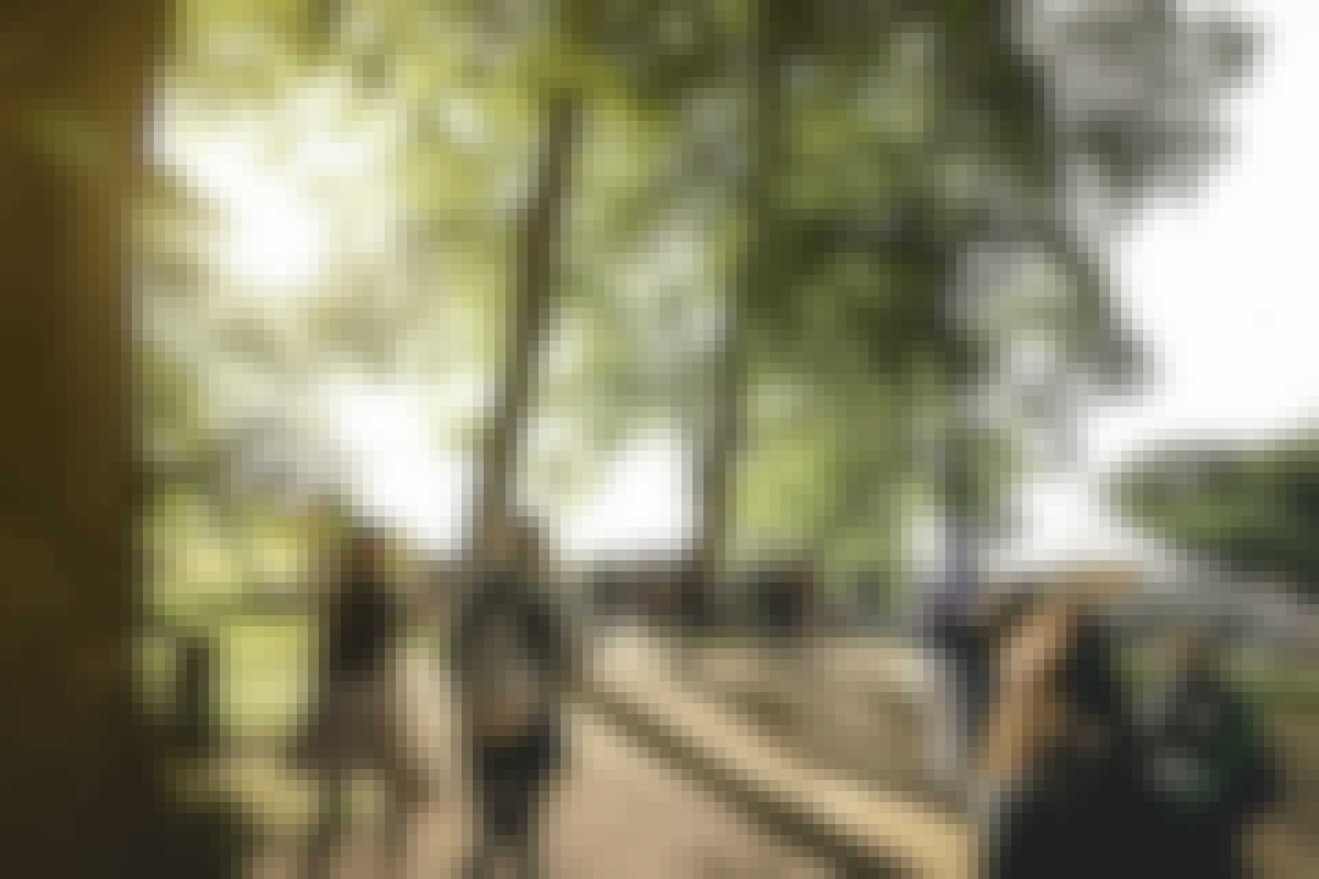 010619_MajaKongegaardBramm_0111