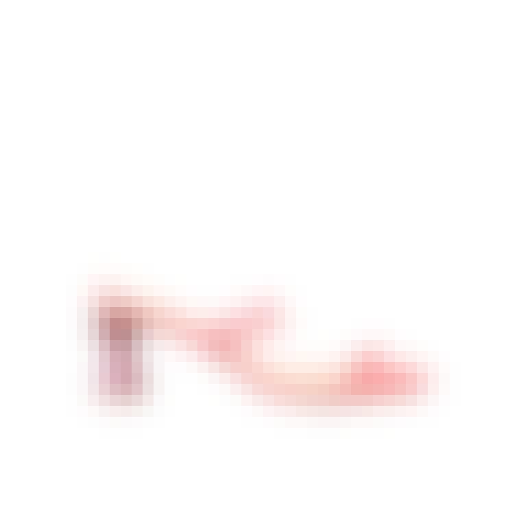 a08b05f0696a6d0bd46247da0285746a-1
