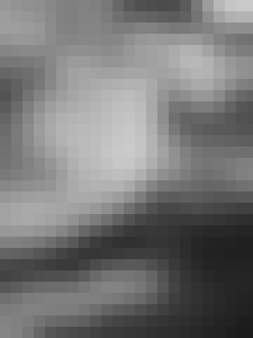 DSF3894
