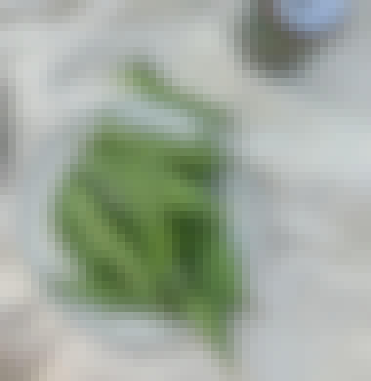 ærter