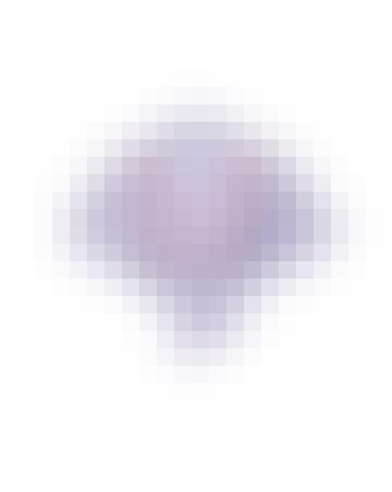 Screen-Shot-2020-07-27-at-15.19.08