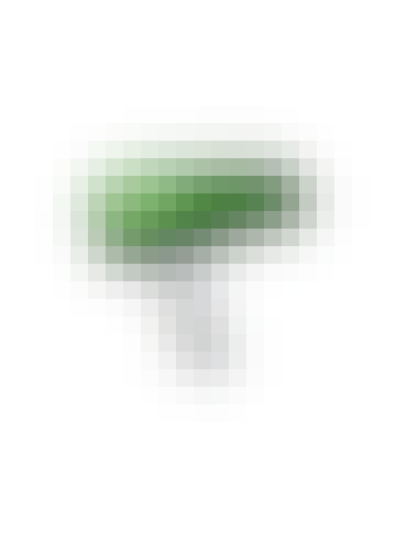 bordlampe