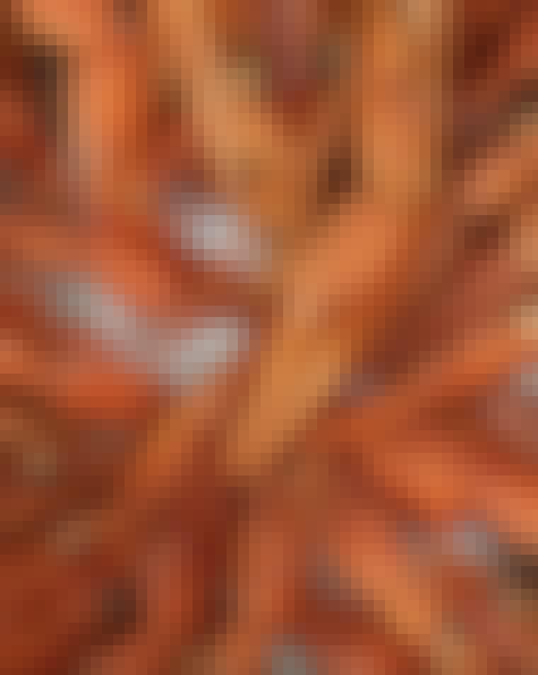 unnamed