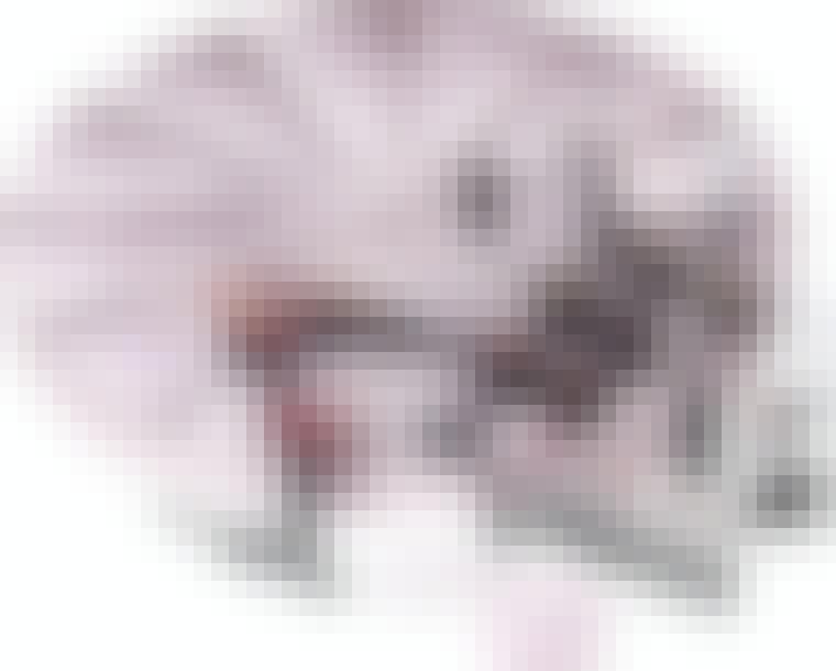 773602581580