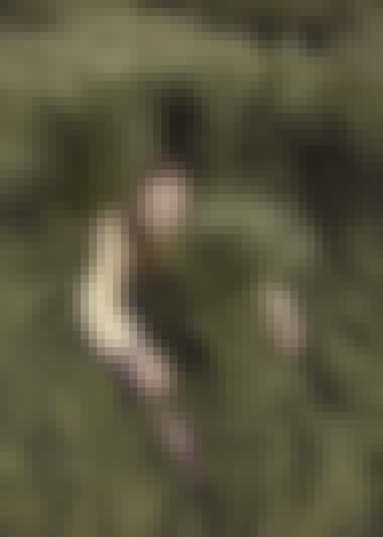 A9A92831