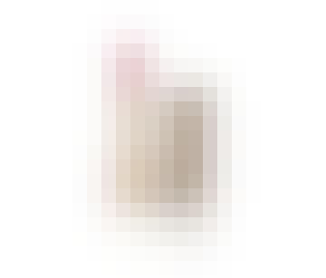 product_v1_x2