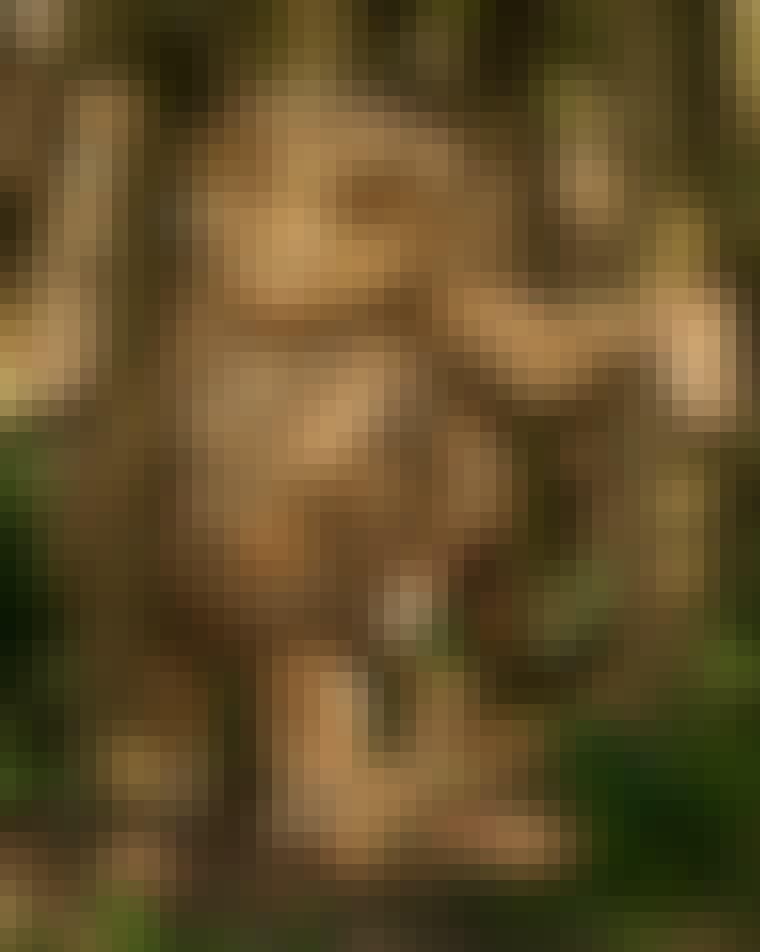 unnamed-1