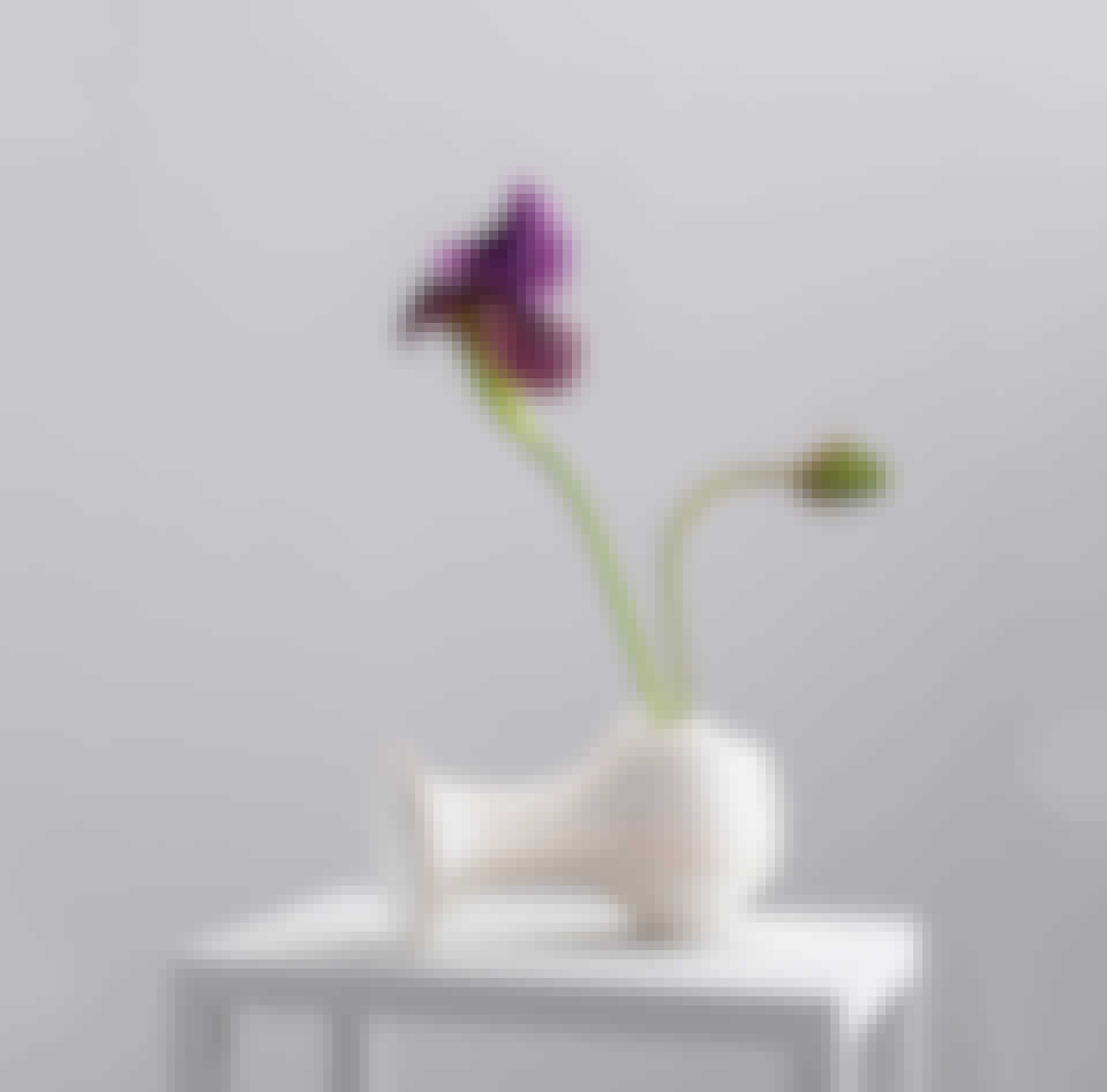 JPEG-billede-B4241DC53484-1