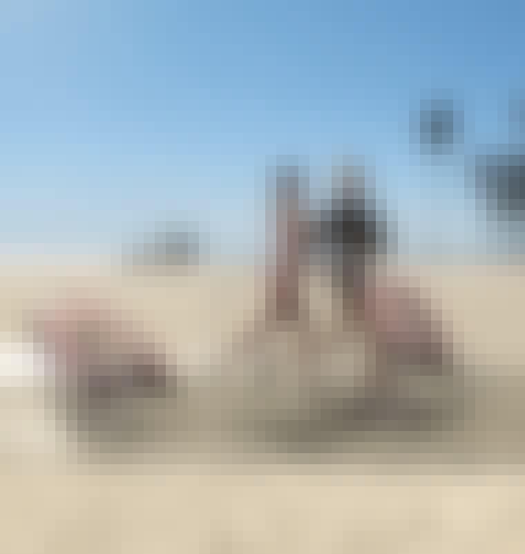 itemlist_id_1005__en-en-6058cc0b5792e