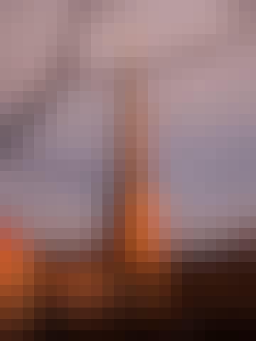 COM_2101_Daniel_Rasmussen-1188081-medium
