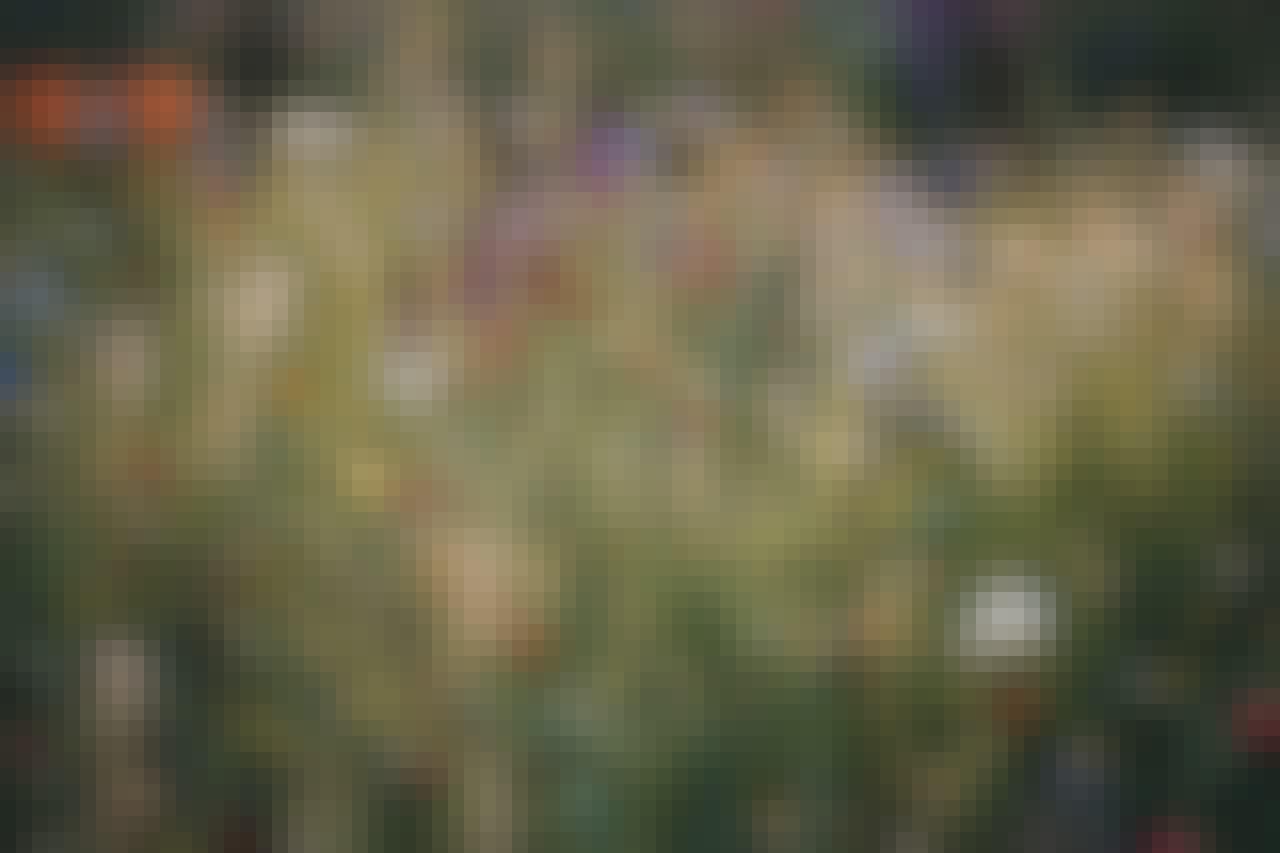 Blomstermark