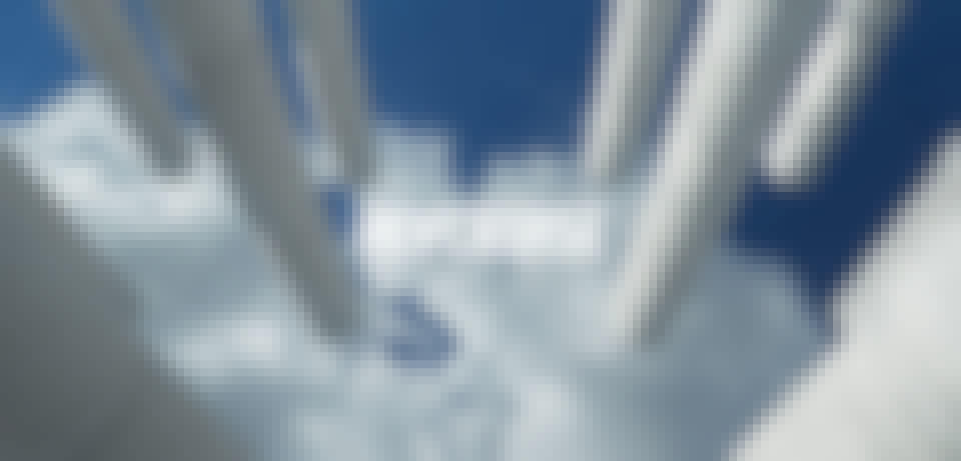 SHOW-CRUISE_1080x518_SOCIALSKINS-TIKTOK_WITH.png