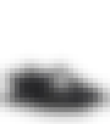 P00559556