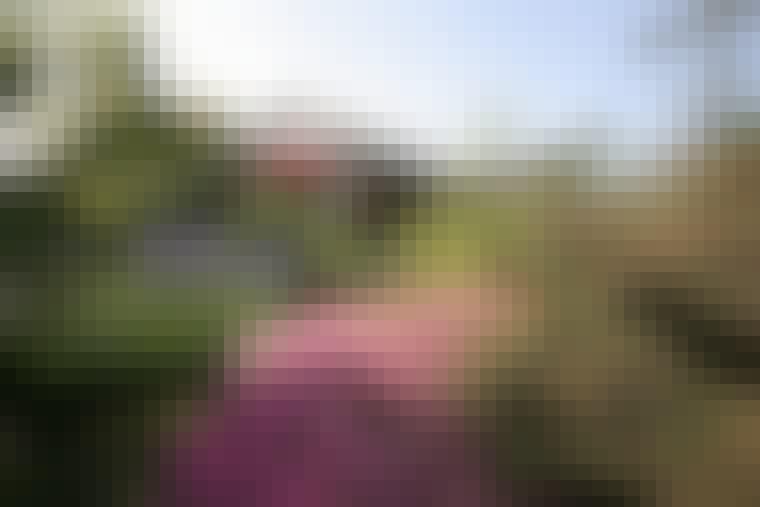 COS_2105_dejapanskehaver_02