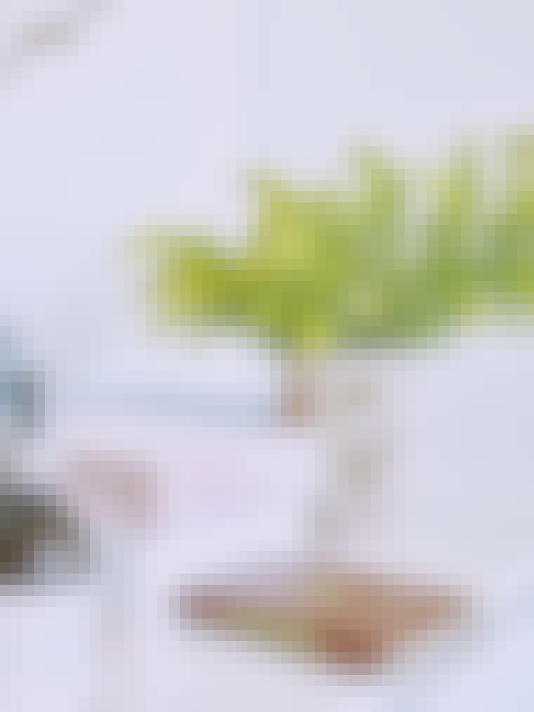 COS_2104_Capture_0406