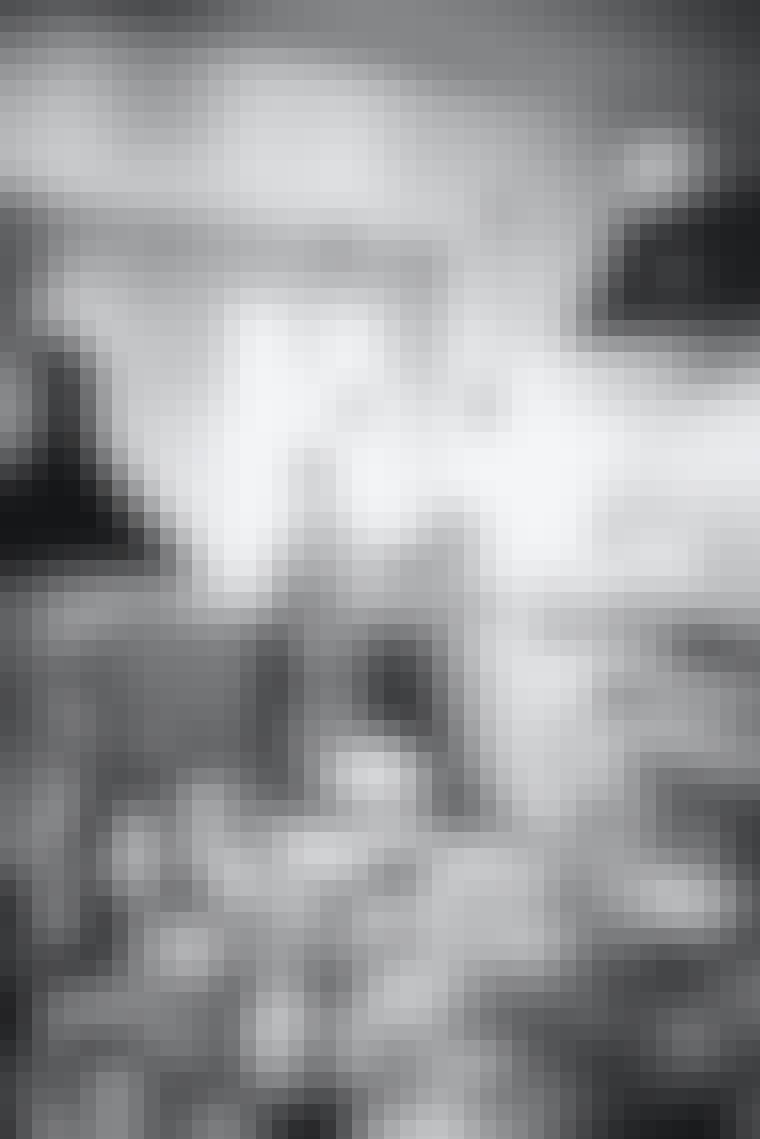 COS_2105__OSC6593