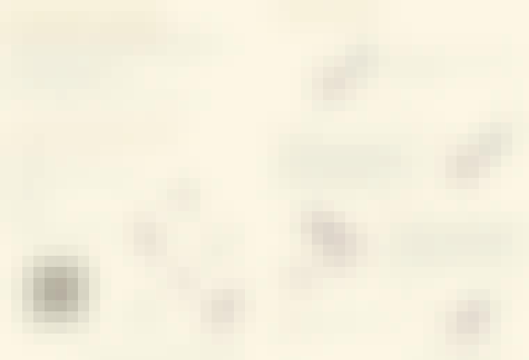 Screen-Shot-2021-07-28-at-12.39.36