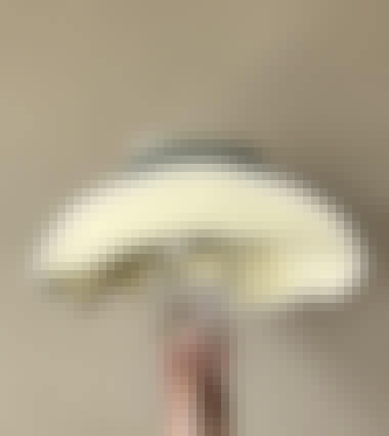 Screenshot-2021-08-06-at-14.52.28