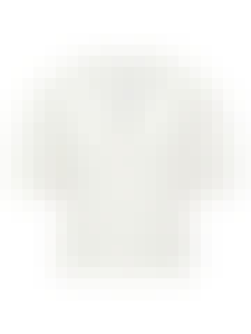 17113928_CloudDancer_001