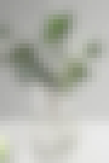 Screen-Shot-2021-09-28-at-15.56.58