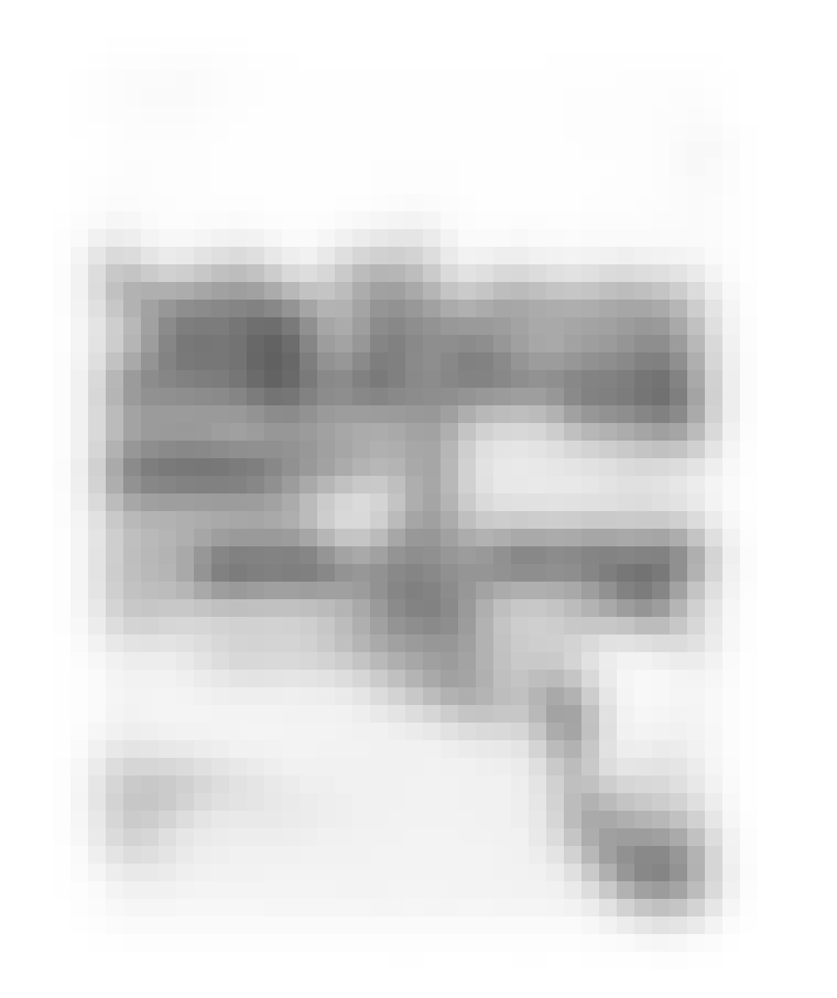 image_6487327-4