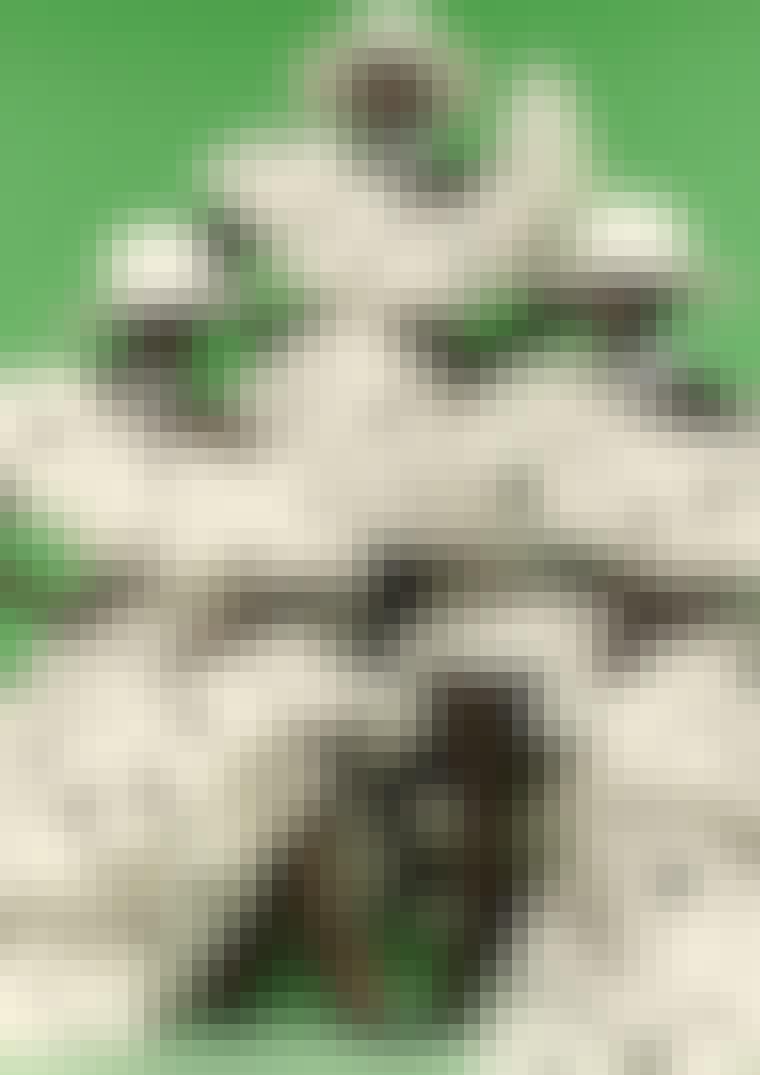 2094-PR-Additional-A4-Portrait-300ppi-01