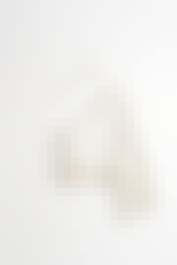 16867114405