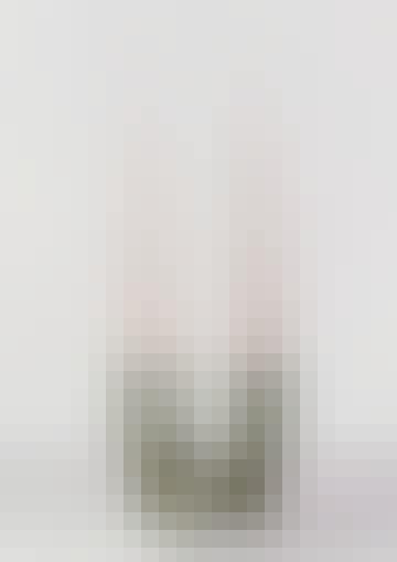 Screen-Shot-2022-01-04-at-09.19.33
