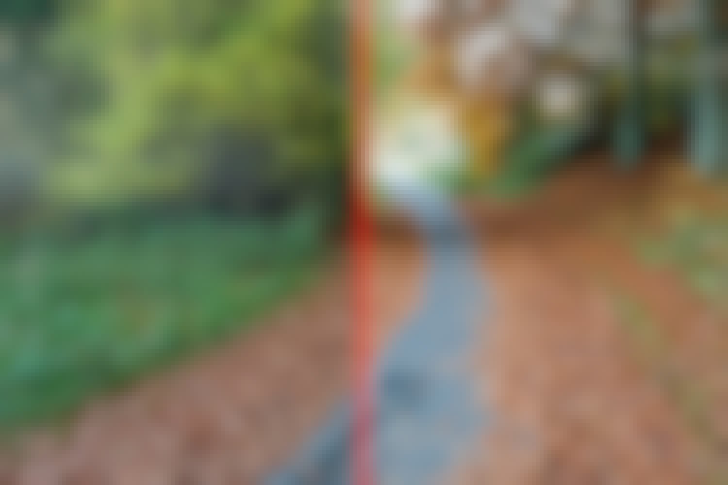 Snyggare höst med förinställning till Lightroom