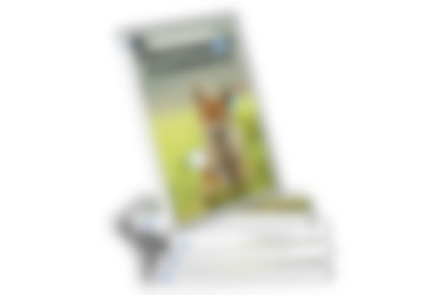 Grundkurs i Photoshop Elements