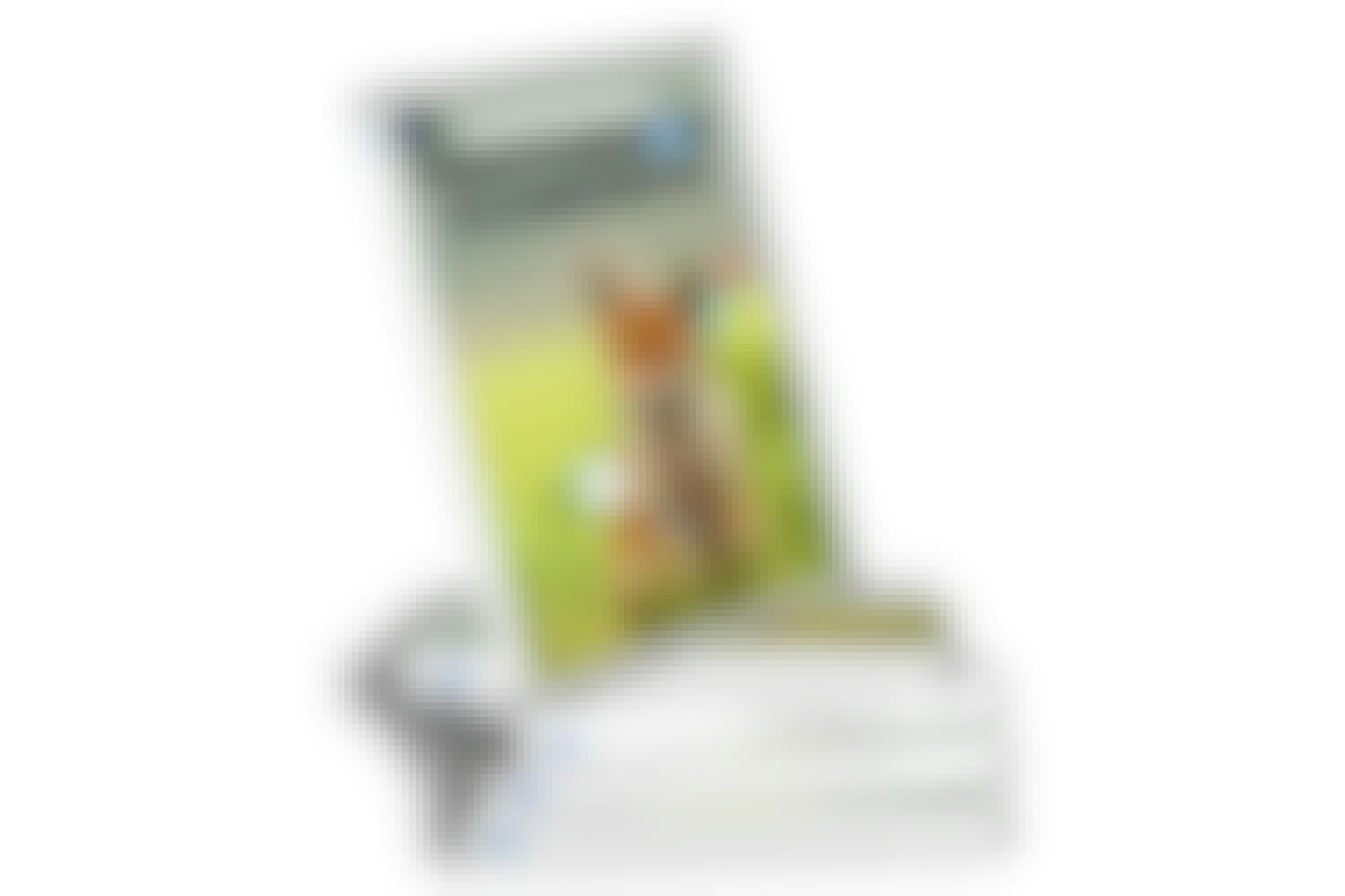 Grundkurs i Photoshop Elements