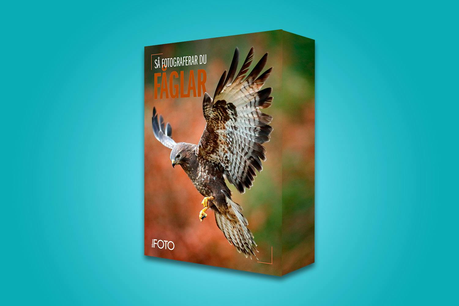 bird-boks-gsv1 Temapaket: Så fotograferar du fåglar